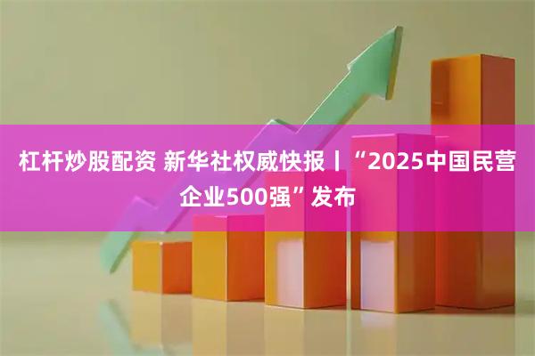 杠杆炒股配资 新华社权威快报丨“2025中国民营企业500强”发布